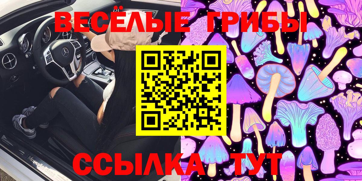Галлюциногенные грибы Psilocybine cubensis  Вход с VPN  Димитровград 
